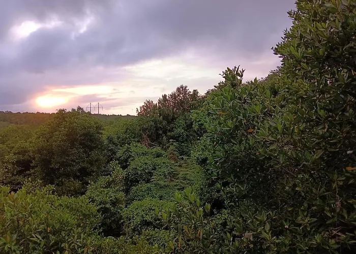 Peaceful Private 4 Bedroom Yy Bali Villa, Nusa Dua, In Kuta Вилла *